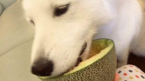 吃瓜群众在线吃瓜网,揭秘娱乐圈幕后故事